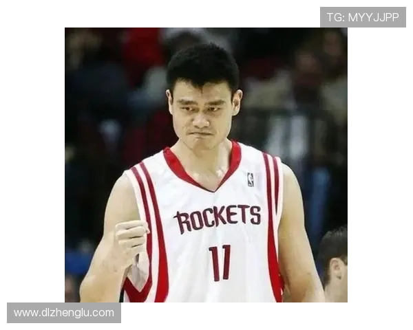 姚明的财富究竟有多少亿背后的故事与成就揭秘